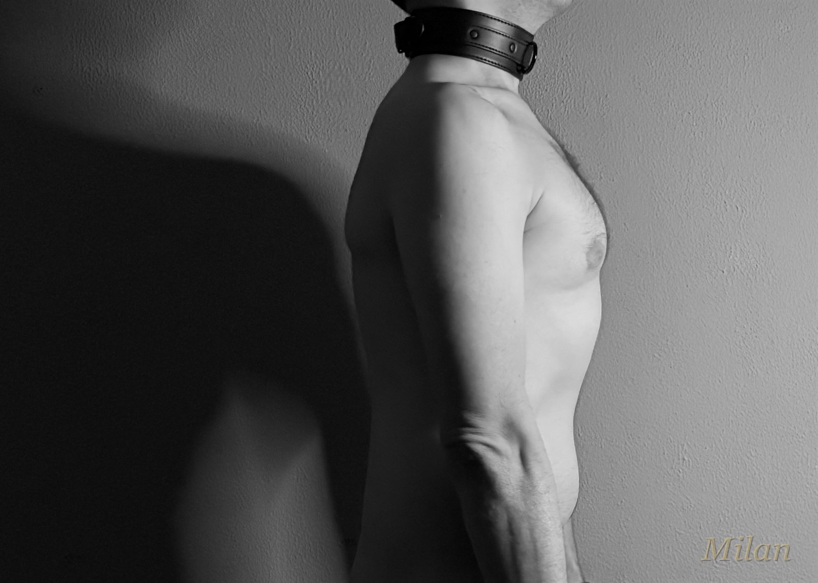 Milan wearing a collar